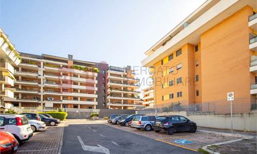 BILOCALE VIA IDA BACCINI